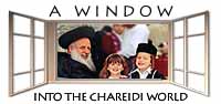 A Window into the Charedi World